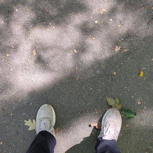 Meet your Posher, Shawn